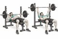 Realistic exercise illustration of Bench Press thumbnail highlighting Chest, Front shoulders, Triceps.