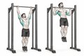 Realistic exercise illustration of Pull Up thumbnail highlighting Lats, Upper back, Biceps.