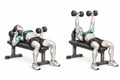 Realistic exercise illustration of Dumbbell Bench Press thumbnail highlighting Chest, Front shoulders, Triceps.