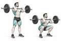 Realistic exercise illustration of Front Squat thumbnail highlighting Quadriceps, Glutes, Adductors.