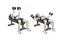 Realistic exercise illustration of Dumbbell Fly thumbnail highlighting Chest, Front shoulders.