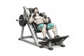 Realistic exercise illustration of Hack Squat thumbnail highlighting Quadriceps, Glutes.