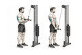 Realistic exercise illustration of Triceps Pushdown thumbnail highlighting Triceps.